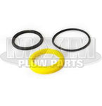 411420 - Replaces Fisher and Western New Style Polypak Cylinder Seal Kit P/N 56556